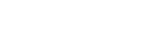 Daily mail logo white