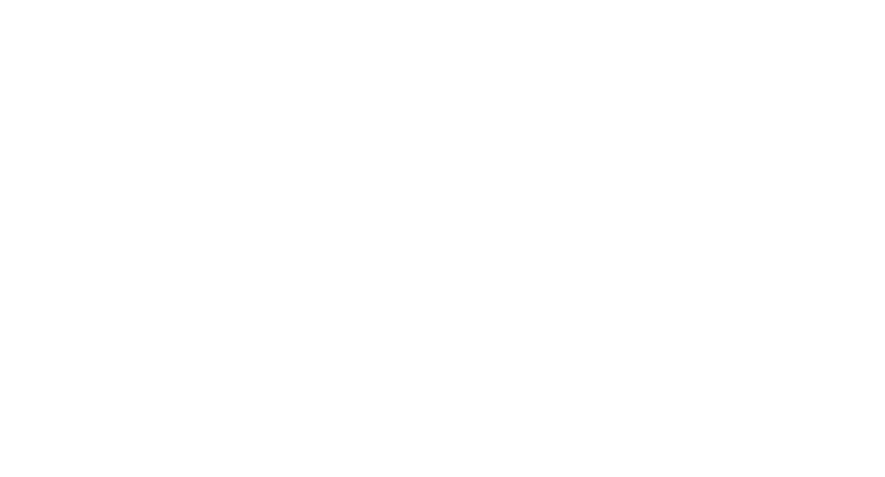 Skinny Confidential Logo White